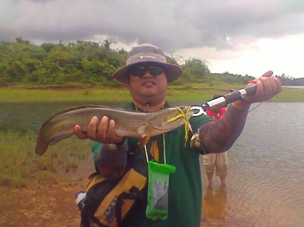 Snakehead fishing philippines