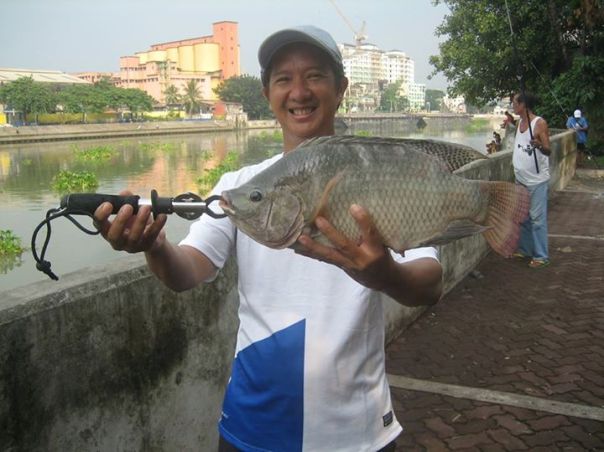 tilapia fishing 